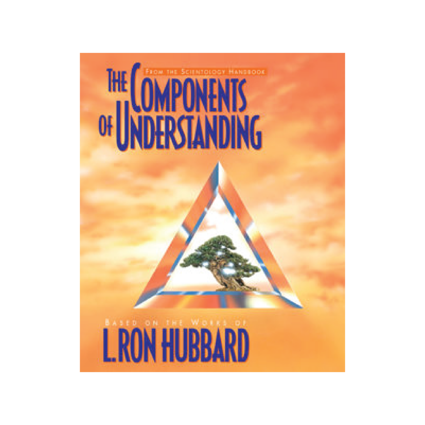 The Components of Understanding booklet